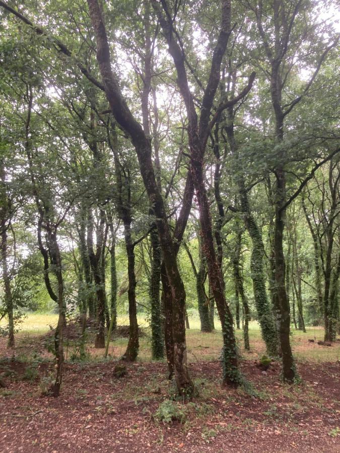 Camping Vila De Sarria Εξωτερικό φωτογραφία