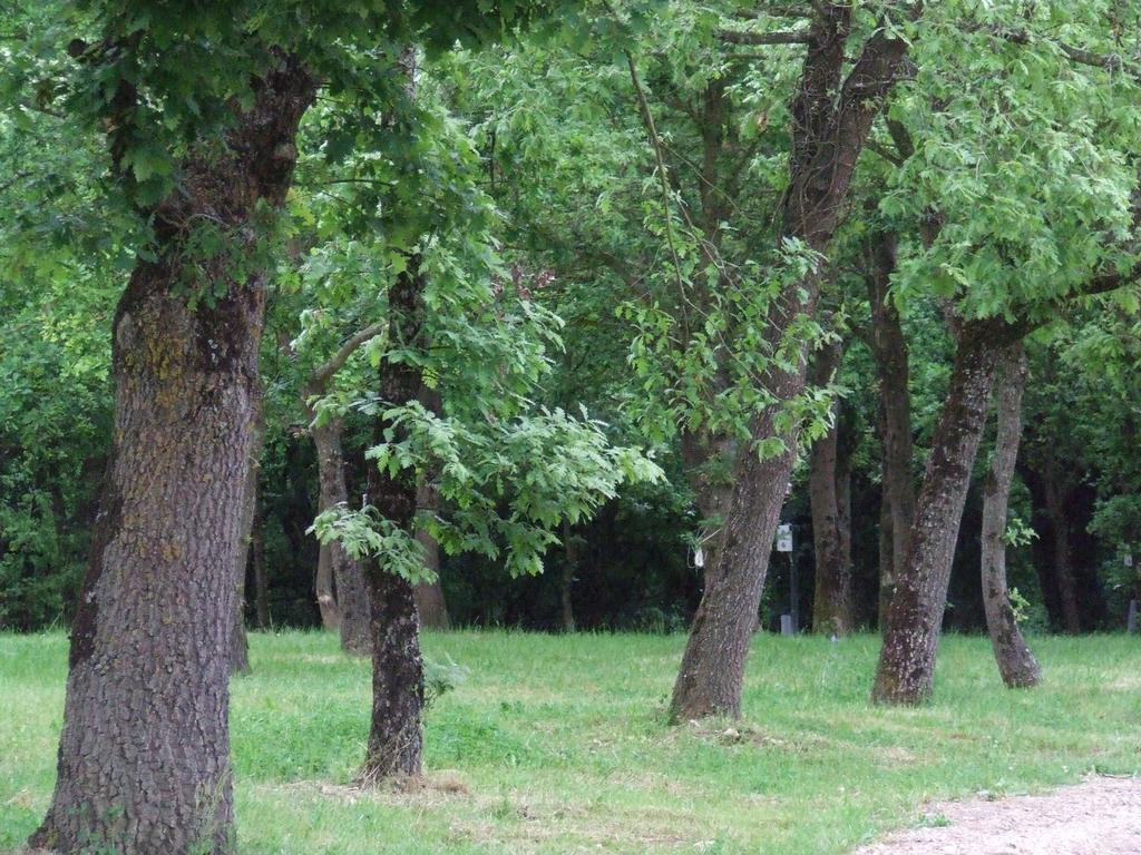 Camping Vila De Sarria Εξωτερικό φωτογραφία